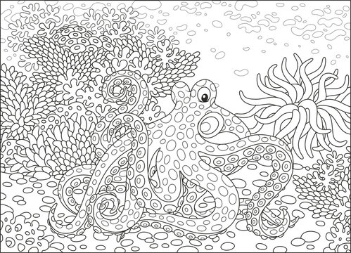 A spotted octopus, an actinia and corals on a tropical reef, a black and white vector illustration in cartoon style for a coloring book