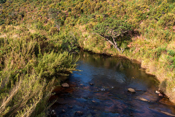 Scenic view in Horton Plains, Sri Lanka