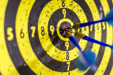 A target with arrows in the middle.