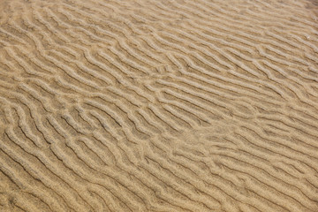 Clear water above sand bottom on wind. Sand waves & sunbeams