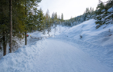 Obraz na płótnie Canvas Majestic winter landscape with snow-covered trees.