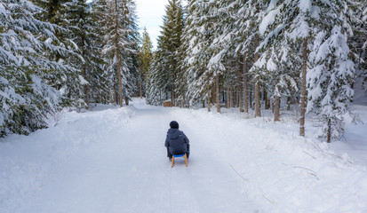 Tourist hiking with sled and a snow panorama in Trentino Alto Adige, Italy