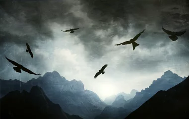 Poster Im Rahmen Gothic landscape mountain range with hawks © vali_111