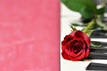 Valentines Day card with red rose and piano keys