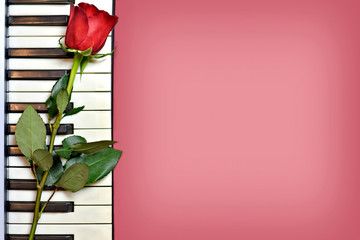 Valentines Day background with copy space. Red rose on piano keys.  