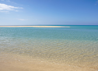 Fototapeta na wymiar Sotavento Beach in Fuerteventura, Canary Islands, Spain