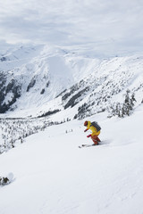 Naklejka na ściany i meble Young man skiing in the mountains