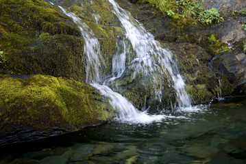 Fototapeta na wymiar fragment of a small waterfall flowing over the mossy stones into a transparent lake..