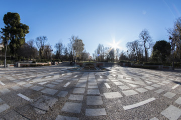 Fish-eye view 180 of one of the avenues of the Retiro Park in Madrid