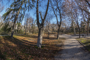 Obraz premium Fisheye 180 view of a space in the Retiro Park in Madrid city
