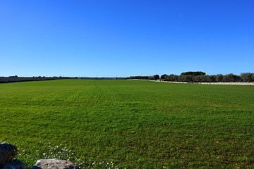 Italy, Puglia region, typical countryside landscapes. Stone walls and cultivated land.