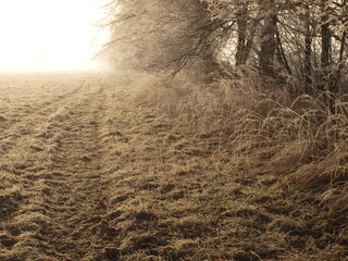 OLYMPUS DIGITAL CAMERA © ayland