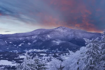Tuinposter Winter mountain landscape © Tom Pavlasek