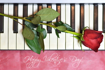 Happy Valentines Day card with red rose on piano keys