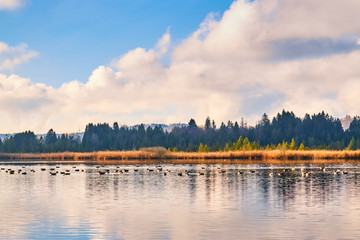 Maisinger lake, nature preserve in the Upper Bavaria in Germany
