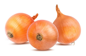 Fresh onion isolated on white background  with clipping path