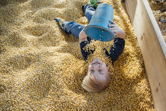 High angle view of boy playing with corns in container at park