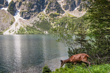 Tatry Morsie Oko © sandra