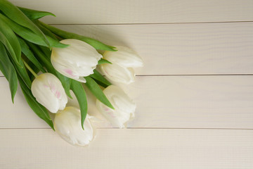 White tulips on a light wooden background