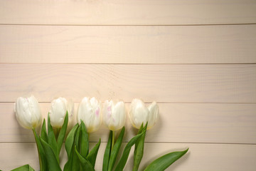White tulips on a light wooden background