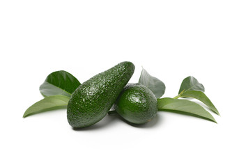 avocado fruits isolated on white background