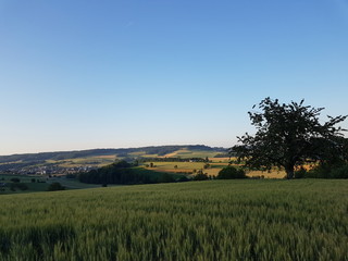 Obraz premium Feld mit Weitbild
