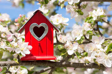 Im Frühling