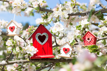 Fototapeta premium Im Frühling