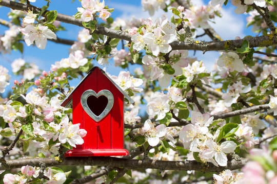 Im Frühling