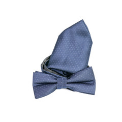 Fliege und Einstecktuch isoliert 