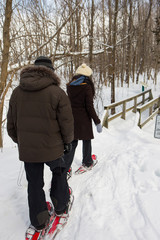 Ethnic couple snowshoeing in the forest near a waterfall