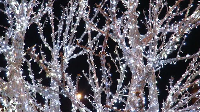 Tree Lit Up With Christmas Lights