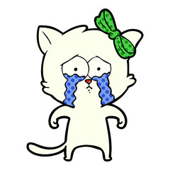 cartoon cat