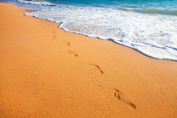 beach, wave and footprints at sunset time