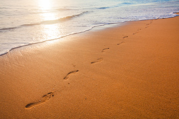 beach, wave and footprints at sunset time