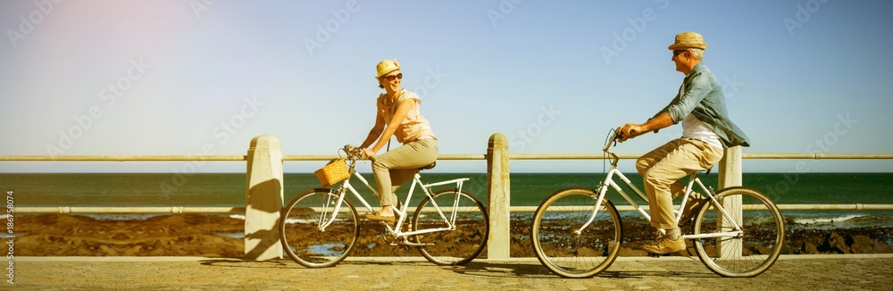 Wall mural Happy couple riding bicycles on pier