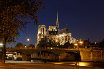 Paris - France, November 1, 2017: Notre dame de Paris viewed from River Seine by night
