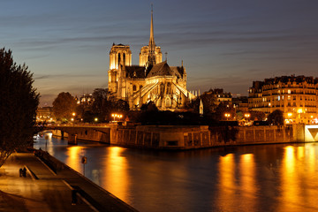 Paris - France, November 1, 2017: Notre dame de Paris viewed from River Seine by night