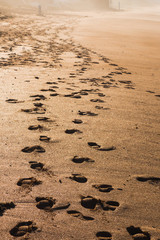 Scenic view of a beach and foot prints on the sand