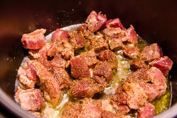 Pork meat preparing in a slow cooker