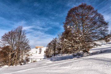 Malga Lavacchione .