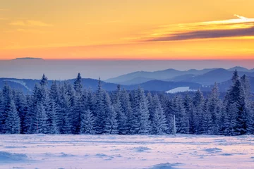 Fototapeten From the "Stübenwasen" in the black forest nearby Freiburg in Germany. Sunset on the beautiful hills with intensive colors of the sky and cool blue colors of the snow and fir trees. © Dennis Wegewijs