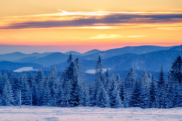 From the "Stübenwasen" in the black forest nearby Freiburg in Germany. Sunset on the beautiful hills with intensive colors of the sky and cool blue colors of the snow and fir trees.