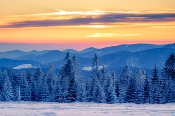 Fotobehang From the "Stübenwasen" in the black forest nearby Freiburg in Germany. Sunset on the beautiful hills with intensive colors of the sky and cool blue colors of the snow and fir trees. © Dennis Wegewijs