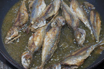 sardines, mackerel, fried fishes in the fryer
