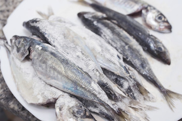 sardines, mackerel, fried fishes in the fryer