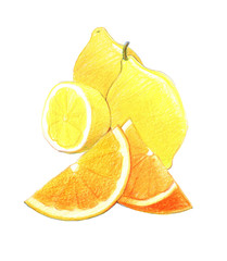 Citrus fruits: lemon and orange  in whole and in a cut. Graphic drawing with colored pencils. Isolated on white background