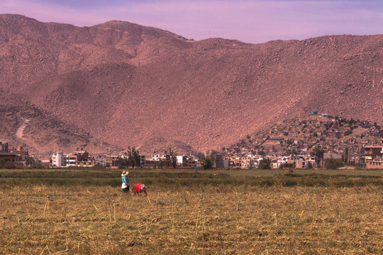 agricoltori sui campi in perù 