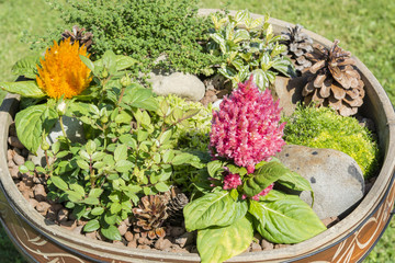 Decorative flower pot with decorative orange and pink plant.