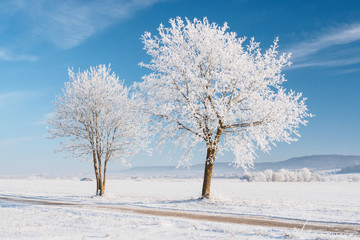 Winterlandschaft